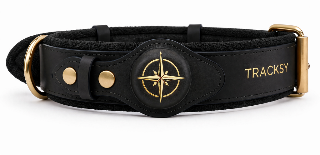 Black Collar