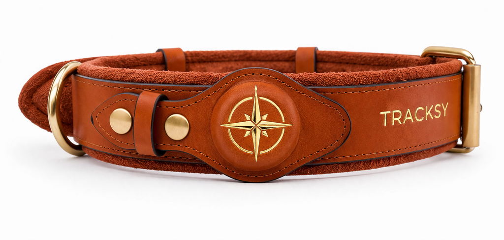 Brown Collar