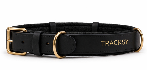Black Collar